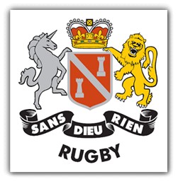 logo15z